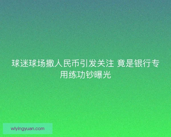 球迷球场撒人民币引发关注 竟是银行专用练功钞曝光